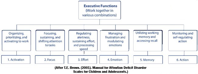 Understanding Diagnosing And Coping With Slow Processing Speed